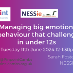 Pinpoint Cambridgeshire. NESSie. Managing Big Emotions and behaviour that challenges in under 12's. Tuesday 11th June 2024 12-1.30pm